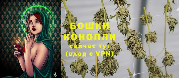 ГАЛЛЮЦИНОГЕННЫЕ ГРИБЫ Сафоново