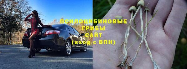 ГАЛЛЮЦИНОГЕННЫЕ ГРИБЫ Сафоново